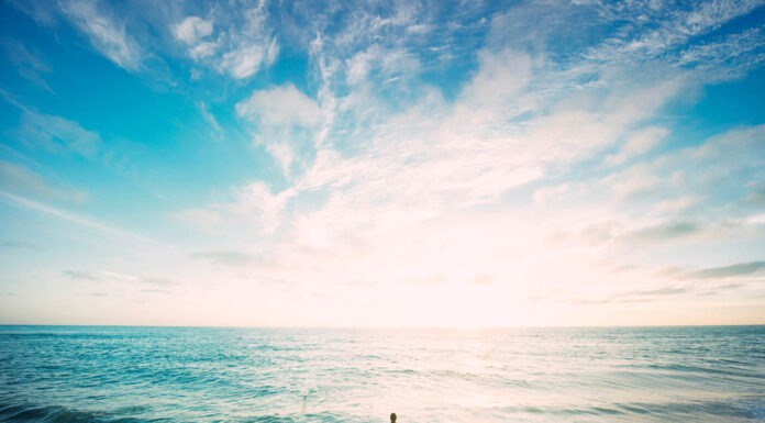 Discover the Birth Place of Pizza